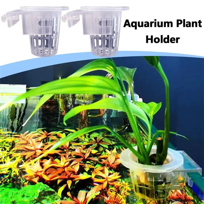 A7THK-2 Stück Transparente Hän – Aquarium Plant Holder Bewertung und Preis
