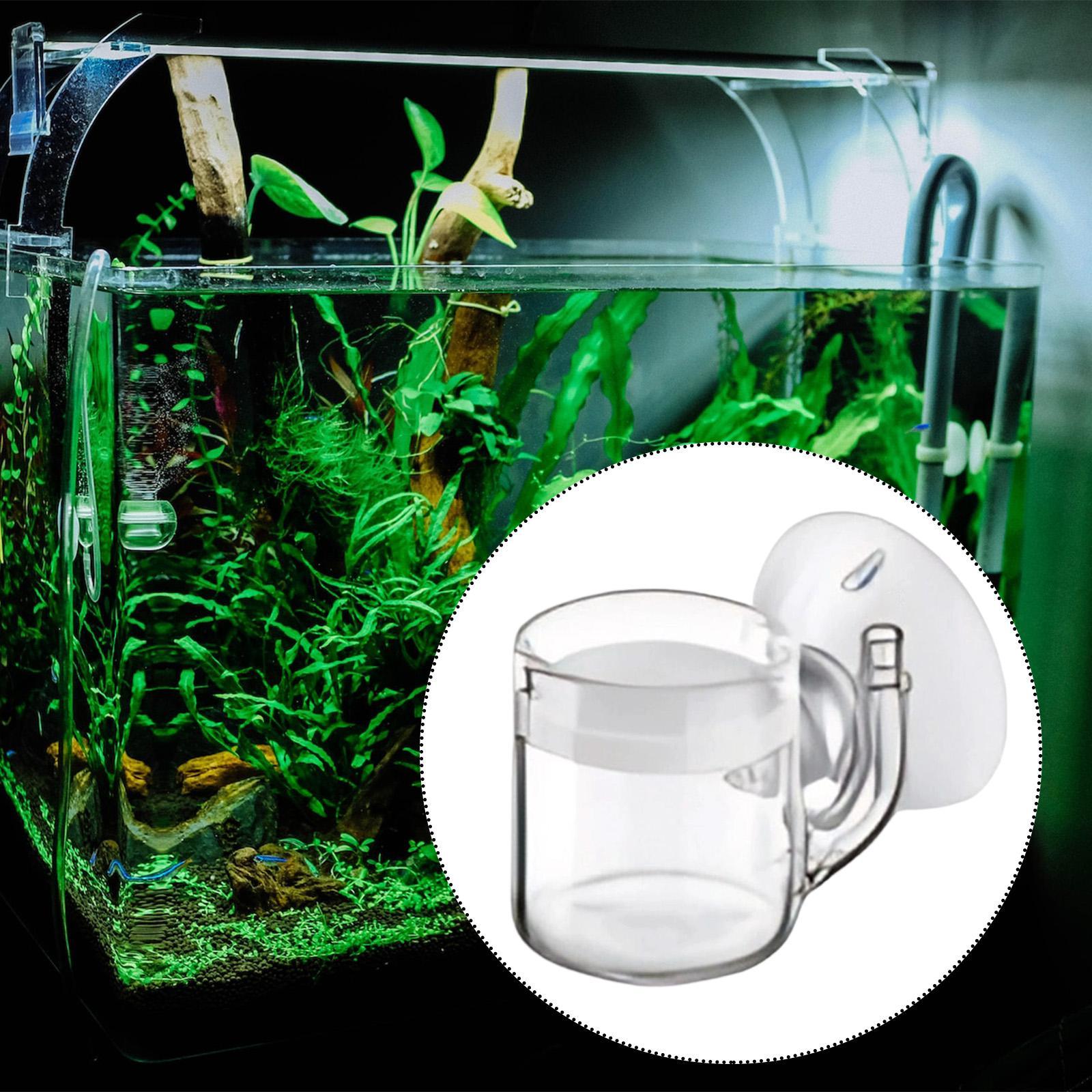 CO2-Diffusor mit flachem Boden – Planted Aquarium Cleaning Bewertung und Preis