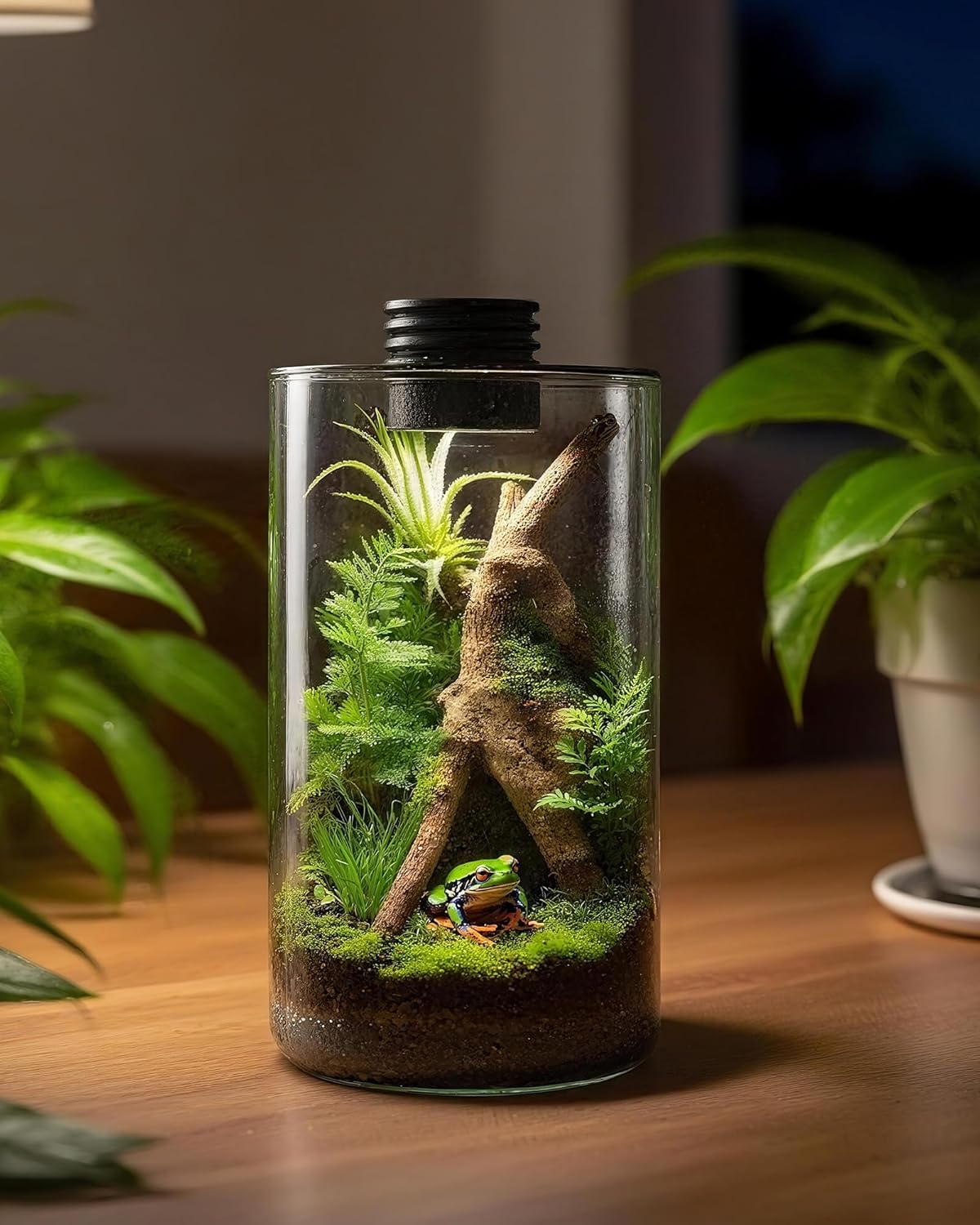 Glas-Terrarium für Innenräume  – Planted Tank Bewertung und Preis