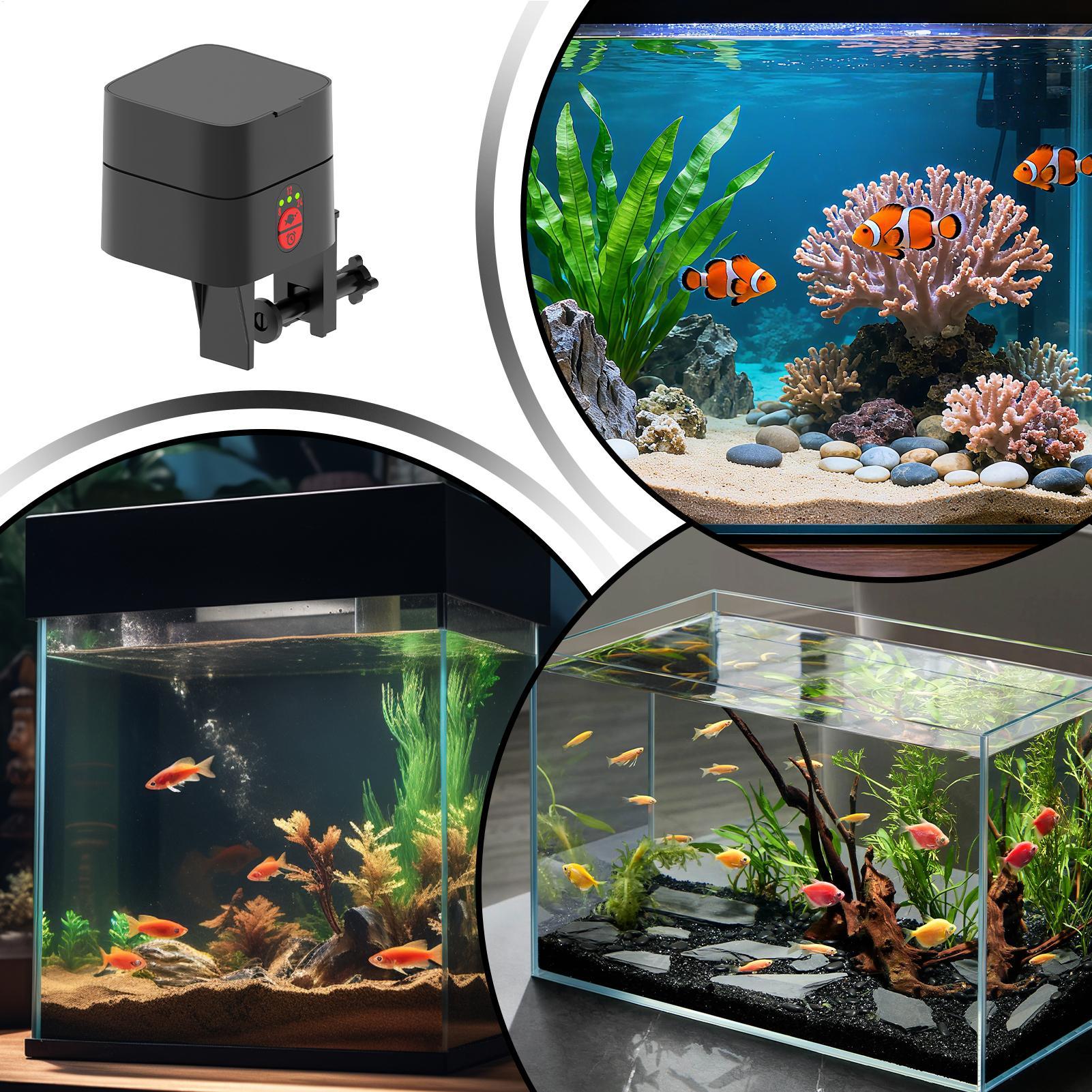 Automatischer Fischfutterspend – Aquarium Fertilizer Bewertung und Preis