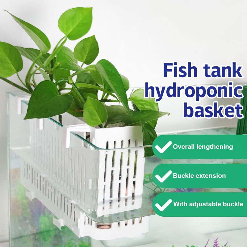 【F】Aquarium-Hängepflanzgefäß,  – Aquarium Plant Holder Bewertung und Preis