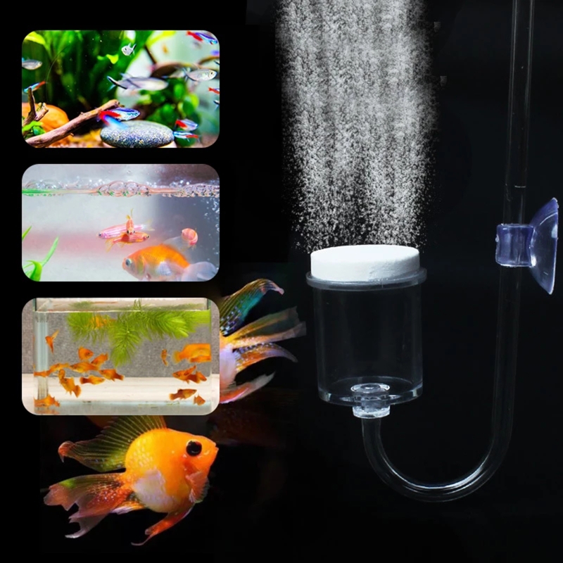 4 stücke Set DIY CO2-Diffusor  – Aquarium Plants Live Bewertung und Preis