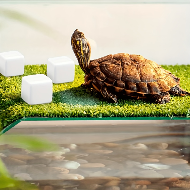 6 Stück Aquarium-Kalziumblöcke – Aquarium Plants Live Bewertung und Preis