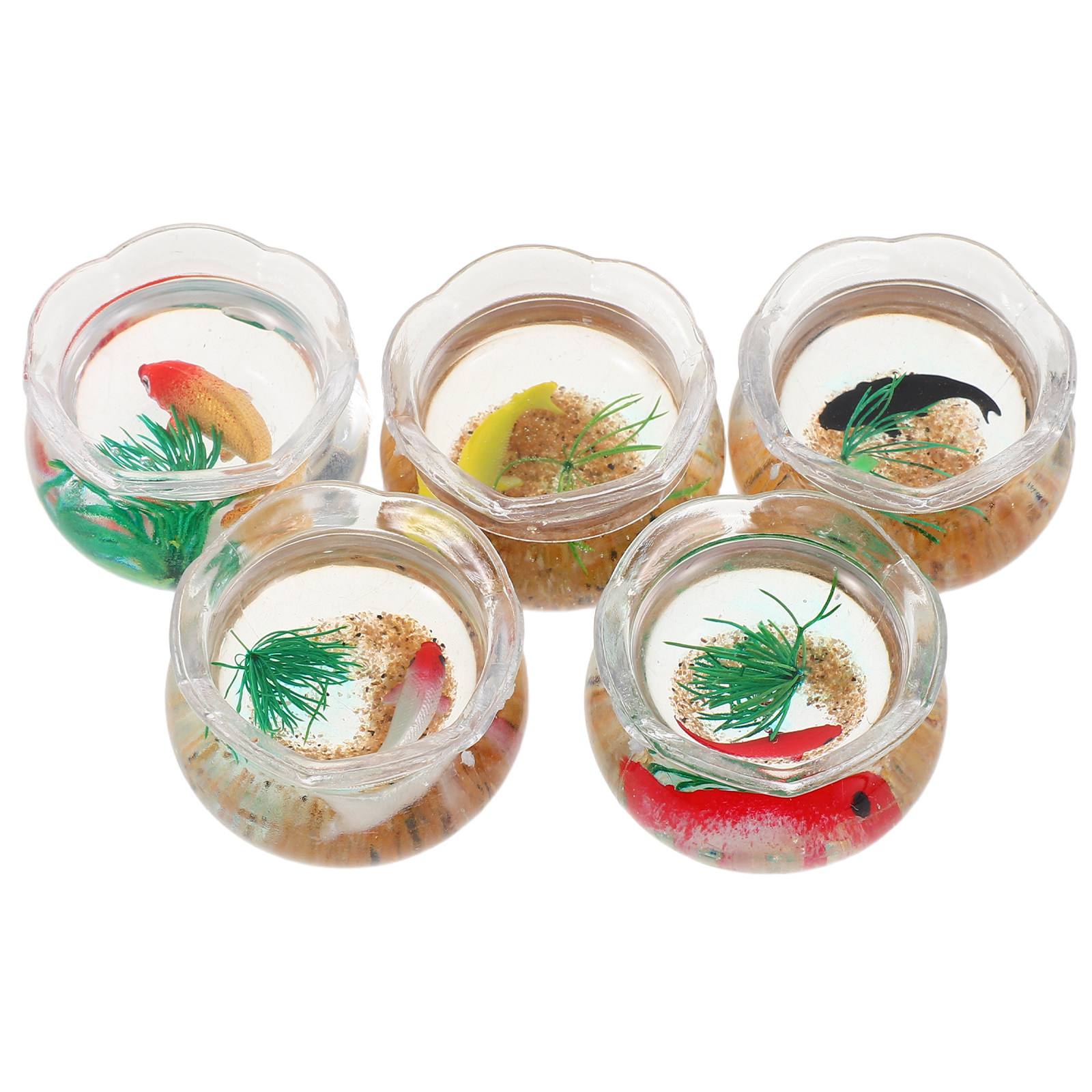 5 Stück Mini-Fischbecken, real – Planted Tank Bewertung und Preis