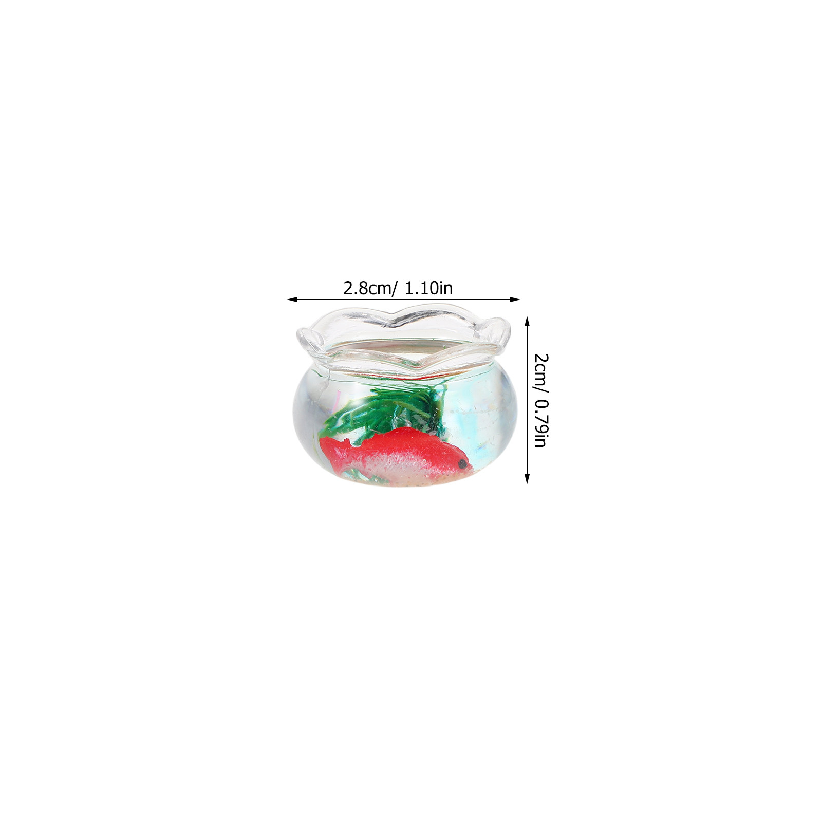 5 Stück Mini-Fischbecken, real – Planted Tank Bewertung und Preis