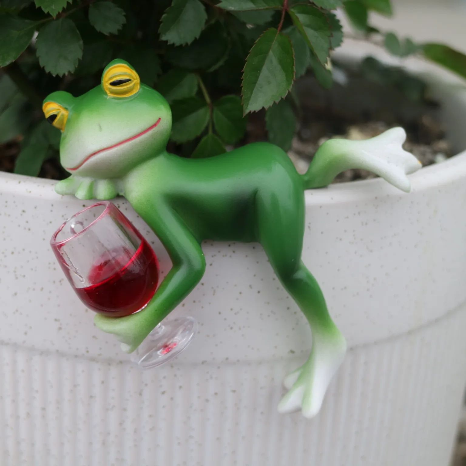 Ein entzückendes grünes Frosch – Plant Aquarium Pot Bewertung und Preis