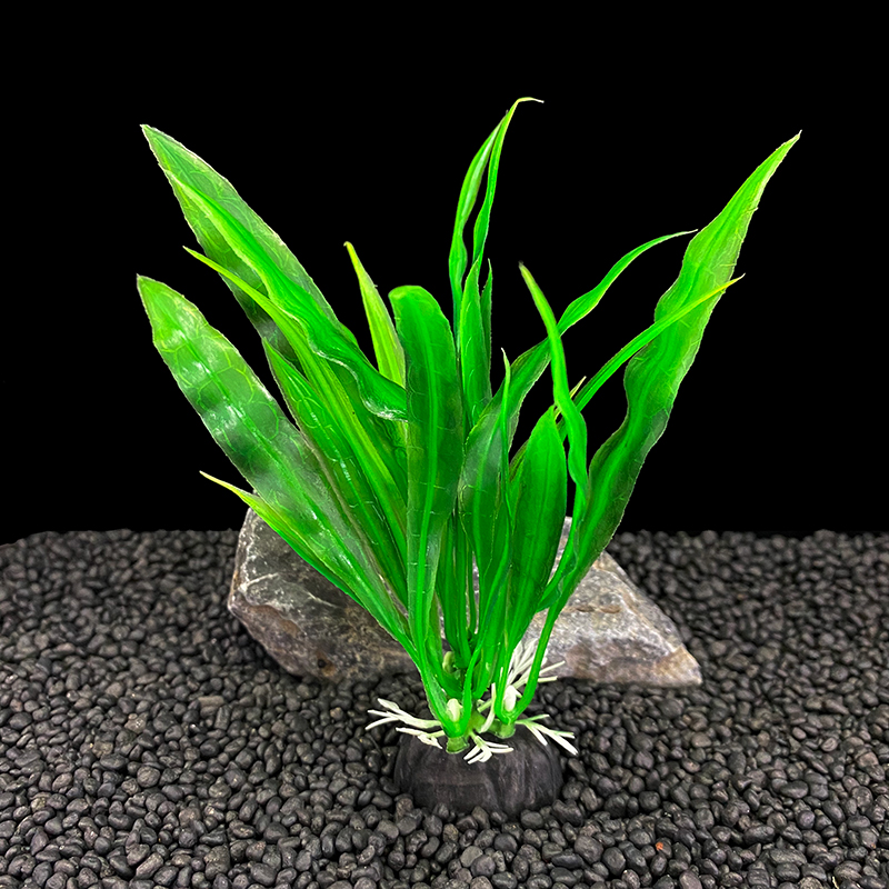 6 stücke Packungen Aquarium Pf – Live Plant Aquarium Bewertung und Preis